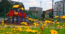 Засаждат дръвчета в детски заведения в Хасково