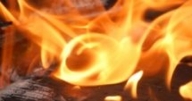 Нова Загора: Пожар унищожи лозов масив 