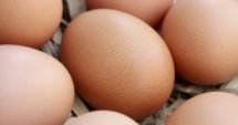 Производители: Няма спекулация с цените на яйцата