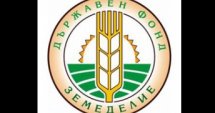 ДФЗ с нов механизъм за банкови гаранции