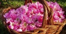 Представят ПРСР на два фолклорни фестивала