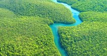 Пълно вето върху закона за горите в Бразилия?