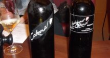 Фандъкова и винарната Cobenzl