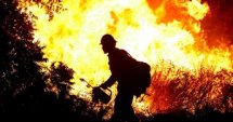 Анализ на горските пожари