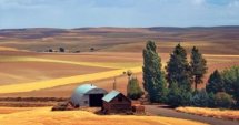 Пазарът на земеделска земя:цени, ренти