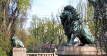 ЕИБ финансира ремонт на "Лъвов мост"