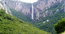 Огромни глоби за бране на липов цвят във Враца