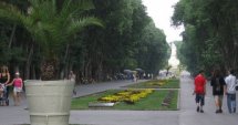Варна: Палми за милиони