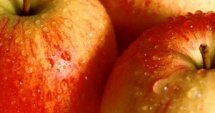 В Кюстендил берат ранните ябълки и круши
