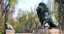 Реставрация на бронзовите фигури на Лъвов мост