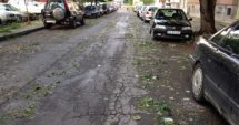 Щетите след бурята в София