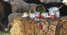 Българските фермери: Възход & Фалит